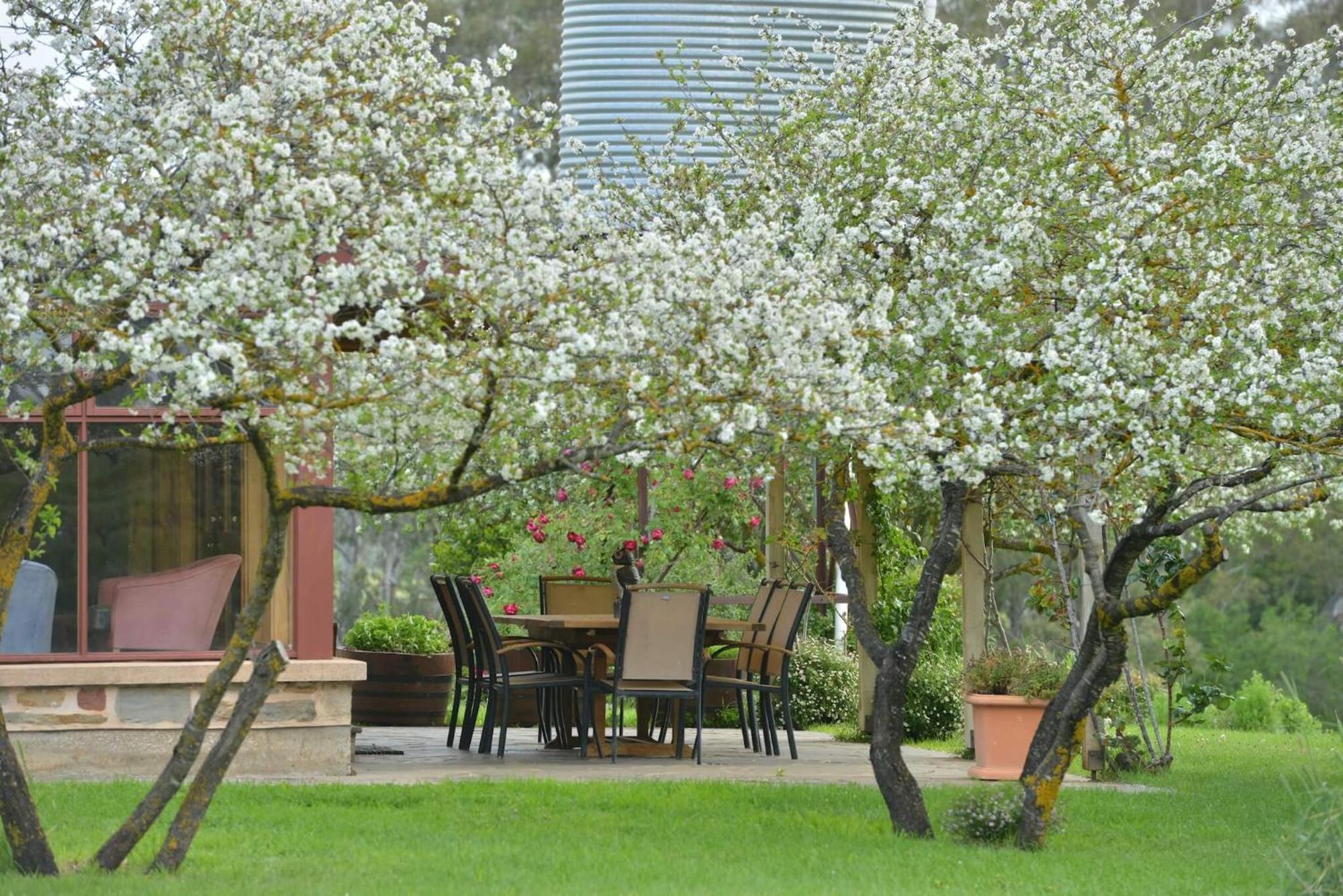 Skillogalee Estate Penwortham Экстерьер фото
